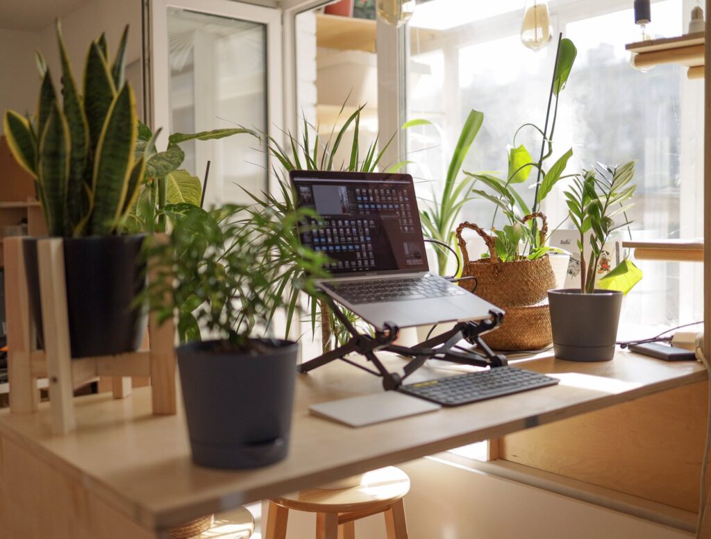 Laptop set up on a desk next to plants.