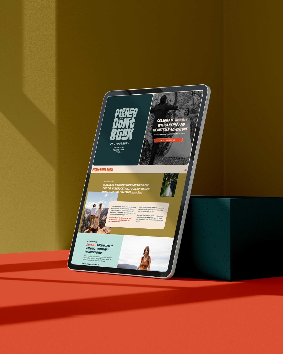 please don't blink's website displayed on a tablet